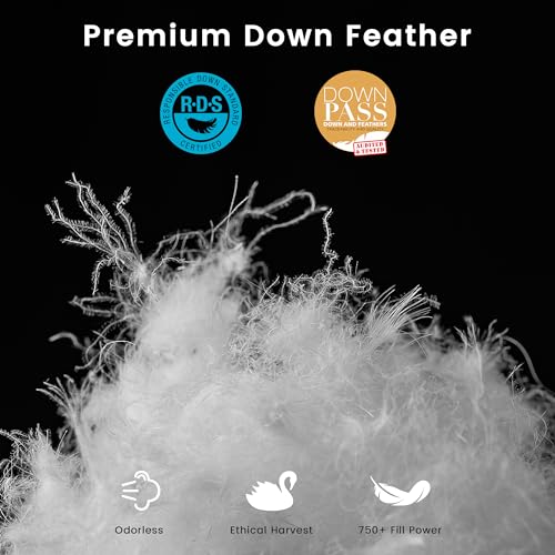 LeWinBedding Luxury Goose Feathers Down Comforter Twin Size,All Season Fluffy Duvet Insert,750 Fill Power Hotel Quality Bed Comforter with 8 Tabs(White,68x90 inches)