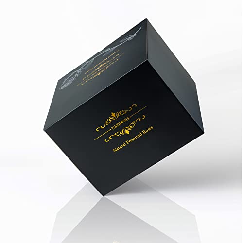 NATROSES Forever Preserved Roses in a Box, 100% Real Roses That Last Up to 3 Years, Preserved Flowers for Delivery Prime Birthday, Valentines Day Gifts for Her (Black)
