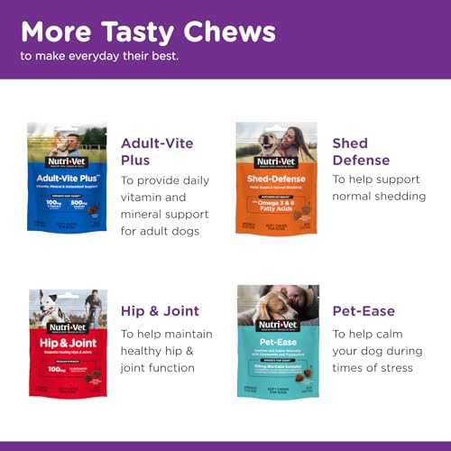 Nutri-Vet Pre and Probiotic Soft Chews for Dogs | Digestive Health Support | Tasty Alternative to Probiotic Powder | 120 Soft Chews