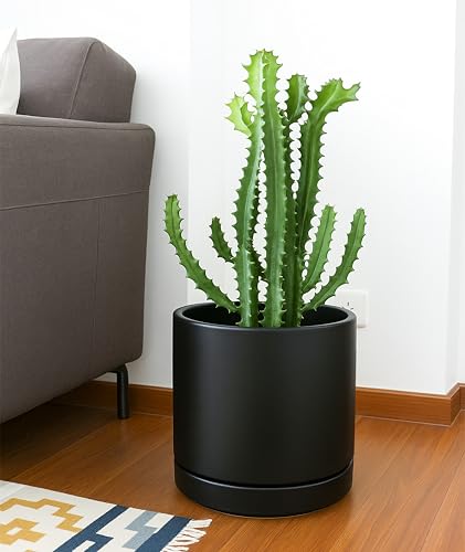 D'vine Dev 14 Inch Ceramic Planter Pot with Drainage Hole and Saucer, Indoor Cylinder Round Planter Pot, White, 94-O-G-1
