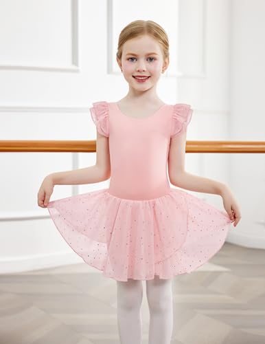 Zaclotre Pink Leotards for Girls Twinkle Sequins Dance Dresses Flow Skirt Hem Ballerina Leotard 3-4T