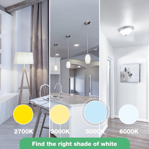 DEGNJU LED Light Bulbs, 100 Watt led Bulb Warm White, 5000K Daylight Light Bulbs, E26 Standard Base, 1500 Lumens, Non-Dimmable, 13W Bright White LED Bulbs for Bedroom Home Office, 12 Pack