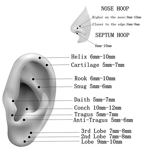 2pcs Pair 12mm Septum Ring Silver Nose Rings Hoop 16 Gauge Nose Hoop Helix Daith Tragus Hinged Segment Septum Clicker Lip Rings 316L Surgical Steel 16g Cartilage Earring Nose Piercing Jewelry