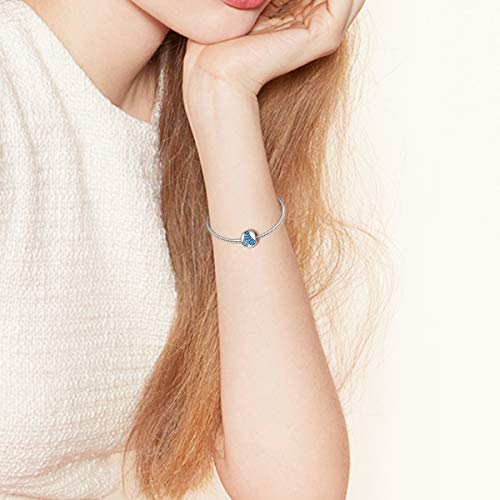 FOREVER QUEEN Alphabet Charm Initial Charm Letter N Charm Bead in 925 Sterling Silver with 5A Blue CZ fit Charms Bracelet Necklace for Birthday Fashion Women Boy Men Gifts