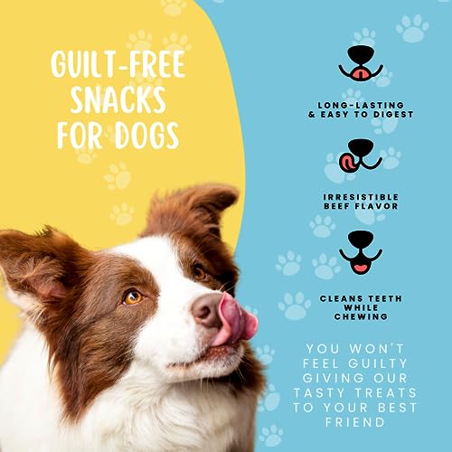 hotspot pets Beef Tendon Chews for Dogs - 8 Inch All Natural, Free-Range, Grass-Fed Premium USDA Gambrol Beef Tendon Stick Treats - Made in USA (1 Pound - Pack of 1)