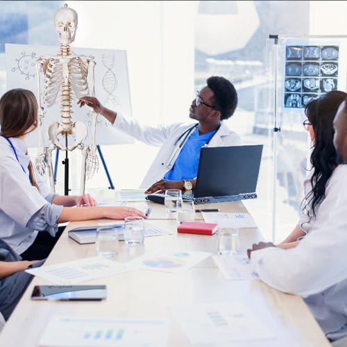 breesky Human Skeleton Model for Anatomy- Life Size Medical Human Skeleton Model with Nervous System 70.8 in with Rolling Stand for Medical Study and Display 3 Posters