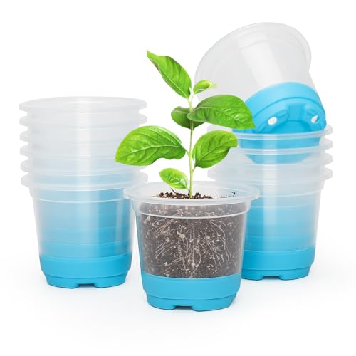 MIXC 12 Packs 4" Clear Nursery Pots with Silicone Base for Easy Transplant, Transparent Plastic Reusable Seedling, Starter & Flower Pots(Bule)