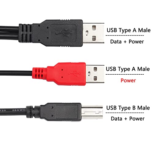 CERRXIAN Dual USB Type A 2.0 Male to USB B Data Y Cable for Printer, Scanner,External Hard Disk Drive,Dj Controller (0.8m Black)