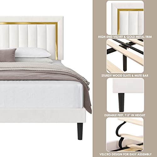 HITHOS Full Size Bed Frame with Adjustable Tufted Headboard, Velvet Upholstered Platform Bed Frame with Gold Trim, Heavy Duty Mattress Foundation with Steel Frame, Easy-Assembly Slats (Black, Full)