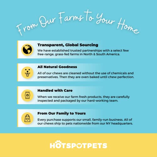 hotspot pets Beef Tendon Chews for Dogs - 8 Inch All Natural, Free-Range, Grass-Fed Premium USDA Gambrol Beef Tendon Stick Treats - Made in USA (1 Pound - Pack of 1)
