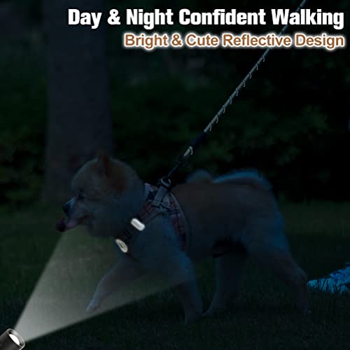 BEAUTYZOO Dog Harness and Leash Set for Small Medium Dogs,No Pull Step-in Harness for Puppy S M Sized Dogs and Cats,Air Mesh Adjustable Breathable Soft No Chock Escape Proof Vest Harness,Sky Blue S