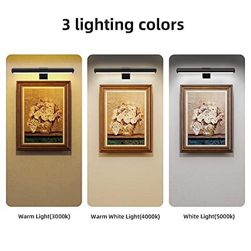 TINTINDOC Wireless LED Picture Light with Remote,Rechargeable Battery Painting Light for Display Art Work,300Lumens Brightness Adjustable Highlight Picture Painting Arts Dartboard with Metal Body