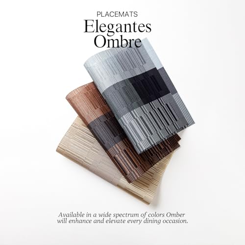 LEXMORE PVC Woven Placemats 4 PCS Wipeable Indoor/Outdoor Table Mats Washable Vinyl Place Mats for Dining Table, Set of 4-Ombre Brown Black