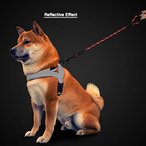 Cymiler Short Dog Leash,3 Sizes Nylon Short Traffic Leash with Padded Handle,Dog Short Training Leash with Highly Reflective Threads for Small Medium Large Dogs