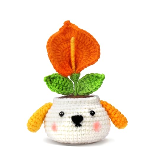 Nitlak Crochet Kit for Beginners, Crochet Starter Kit, Crocheting Cartoon Pumpkin Ghost Kits with Step-by-Step Video Tutorials, Plenty of Yarn, Complete Starter Knitting Kit for Adult, DIY Present