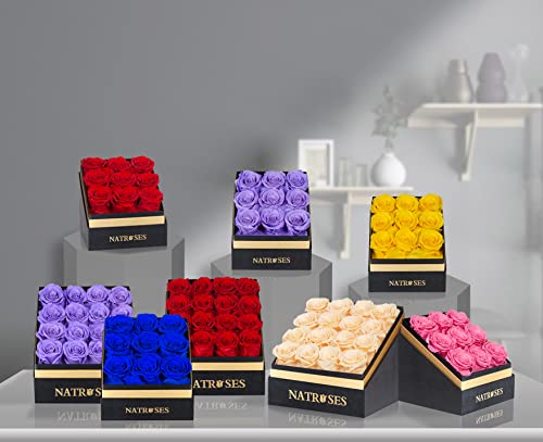 NATROSES Forever Preserved Roses in a Box, 100% Real Roses That Last Up to 3 Years, Flowers for Delivery Prime Birthday, Valentines Day Gifts for Her (Black)