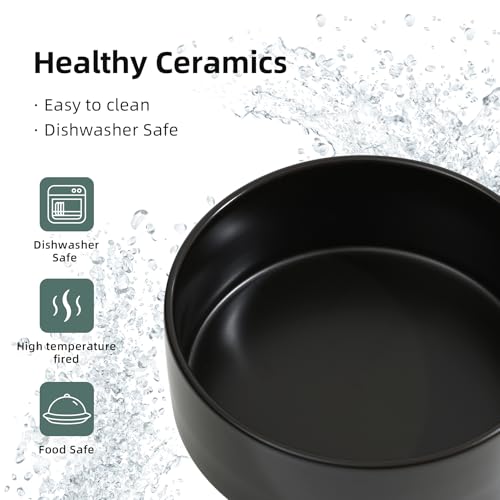 Havniva Ceramic Raised Dog and Cat Bowl Set, 2 Heights Elevated Stand, Food and Water Bowl for Small Breed Dogs, Weighted Dog Dishes, Pet Bowl(6.1'',28.7oz, White)