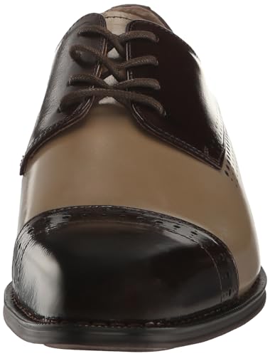 Stacy Adams Men's Cabot Cap Toe Oxford, Navy Multi, 13