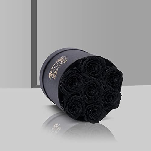 UFOREVER ROSES 7-Piece Preserved Roses in a Box Mothers Day Rose Valentines Day Gifts for Her, Real Roses That Last a Year and More, Christmas Day, Birthday Day (Black)