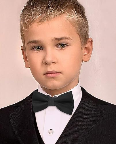 HISDERN Royal Blue Bow Ties for Boys Kids Bow Tie Pre Tied Adjustable Clip On Toddler Bowties Fut Fun Bird Flamingos Patterned Bowtie for Party Festival