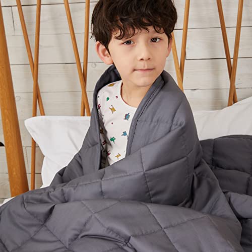 ZonLi Weighted Blanke t(80''x87'', 20lbs, King Size, Dark Grey), Weighted Blanket for Adults, High Breathability Heavy Blanket, Soft Material with Premium Glass Beads