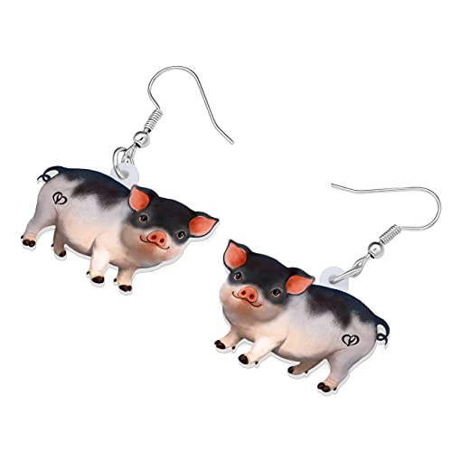 LONYOO Acrylic Pink Pig Earrings Dangle Cute Pig Jewelry for Women Pig Gifts (Pink 440)