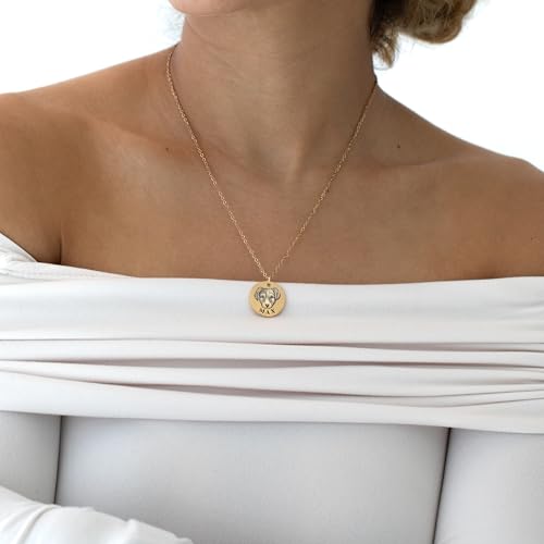 MignonandMignon Personalized Dog Necklace for Women Memorial Gifts for Mom Pet Portrait Custom Cat Name Unique Animal Picture Mother's Day Gift -LCN-AP (Gold)