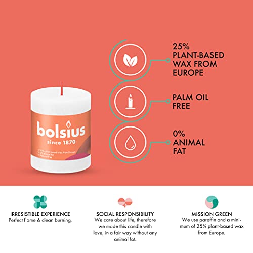BOLSIUS 4 Pack Fresh Olive Rustic Pillar Candles - 2.75 X 5 Inches - Premium European Quality - Includes Natural Plant-Based Wax - Unscented Dripless Smokeless 60 Hour Party and Wedding Candles