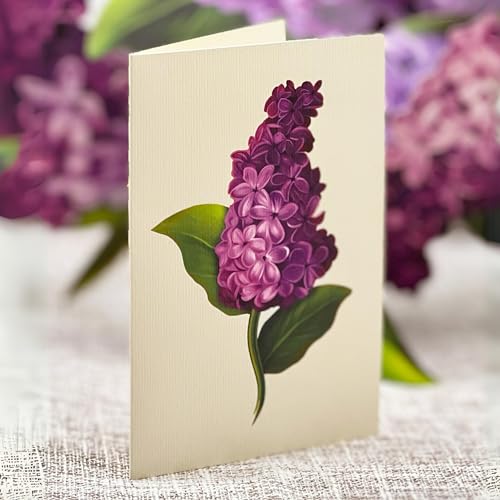 Freshcut Paper Pop Up Cards, Paper Flower Bouquet 3D Popup Greeting Cards with Note Card & Envelope, Birthday Card, Anniversary Card, Get Well Gifts for Women,12" French Blooms