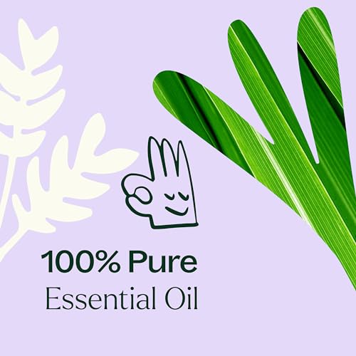 Plant Therapy Organic Lavender Essential Oil 100% Pure, Pre-Diluted Roll-On, Natural Aromatherapy, Therapeutic Grade 10 mL (1/3 oz)