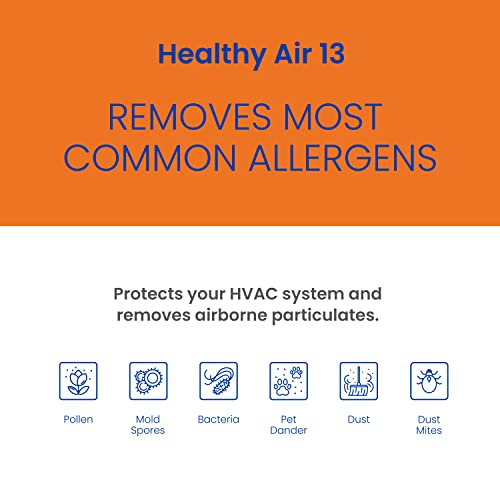 AprilAire 313 Replacement Filter for AprilAire Whole House Air Purifiers - MERV 13, Healthy Home Allergy, 20x20x4 Air Filter (Pack of 1)