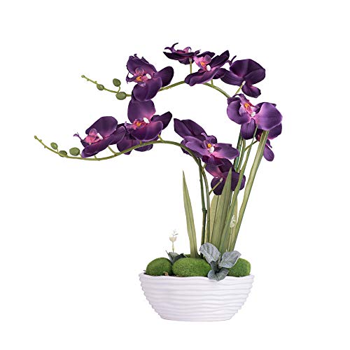 YSZL Large Artificial Potted Orchid Plant, Silk Flower Arrangement with Ceramics Vase, Purple Blue