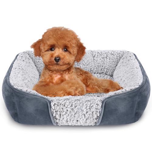 Kimpets Dog Bed Orthopedic Dog Beds for Small Medium Dogs, Rectangle Washable Sleeping Puppy Cat Bed, Pet Sofa Soft Calming Cat Beds Indoor, Anti-Slip Bottom Crate Couch Bed 