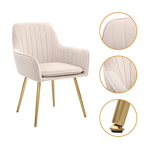 CangLong Dining Chairs Set of 2, Mid Century Modern Dining Room Chairs, Upholstered Velvet Dining Chair with Metal Legs, Vanity Chairs, Accent Chair for Kitchen, Living & Dining Room, Beige