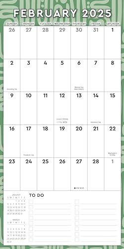 Great Big Grid 2025 Wall Planner, 17-Months Calendar Planner: August 2024 - December 2025, 12" x 12"