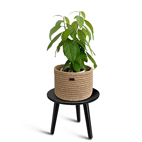 Uneedem Indoor Plant Stand Wood Mid Century Modern Small Round Side Plant Table for Indoor Plants, 8.9" Tall Plant Holder for Flower Pots End Table