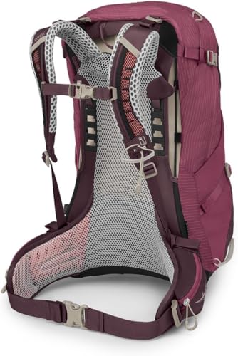 Osprey Sirrus 24L Women's Hiking Backpack, Elderberry Purple/Chiru Tan