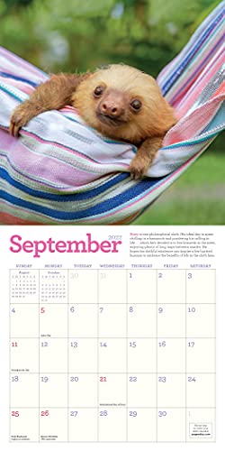 Original Sloths Mini Wall Calendar 2022: 12 Months of Irresistible Cuteness, Sloth Trivia, Stories, and Facts