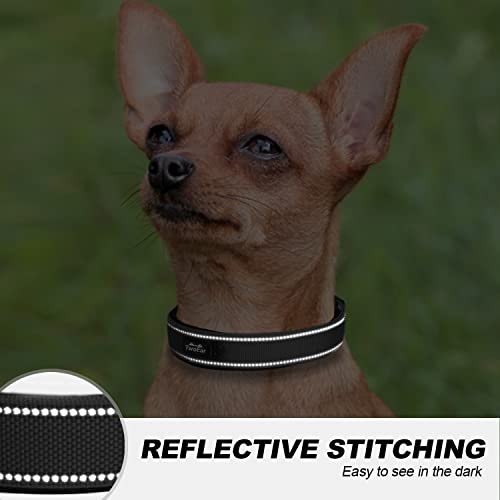 TwoEar Dog Collars for Small Dogs, Heavy Duty Dog Collar with Soft Neoprene Padded, Adjustable Reflective Nylon Dog Collar with Metal Buckle (S, Black)