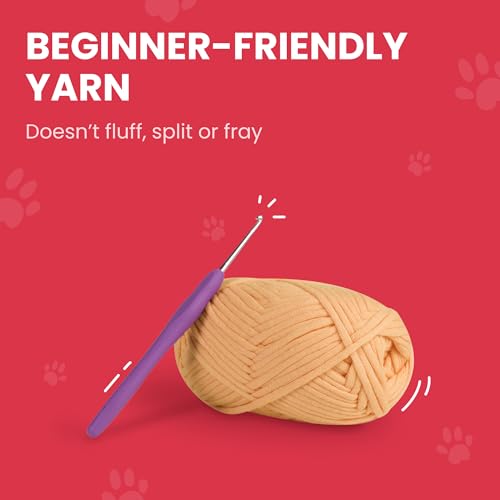 Cookie Box Crochet Kit for Beginners - Learn to Crochet Amigurumi Stuffed Animals - Gift - for Kids (13+) and Adults - Beginner-Friendly Yarn - Stitch-by-Stitch Video Tutorial - Bear Charlie