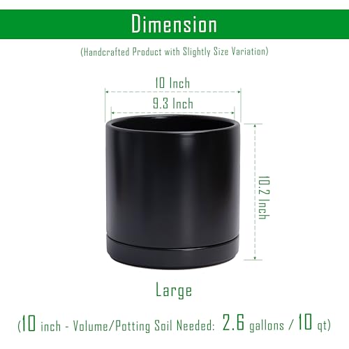 D'vine Dev 14 Inch Ceramic Planter Pot with Drainage Hole and Saucer, Indoor Cylinder Round Planter Pot, White, 94-O-G-1