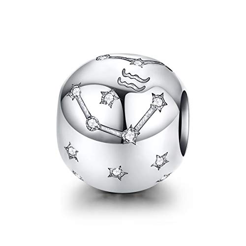 FOREVER QUEEN Aquarius Zodiac Star Sign 925 Sterling Silver Bead Charm Fits Bracelets 12 Constellations Charm, Womens Jewellery Gift with Box