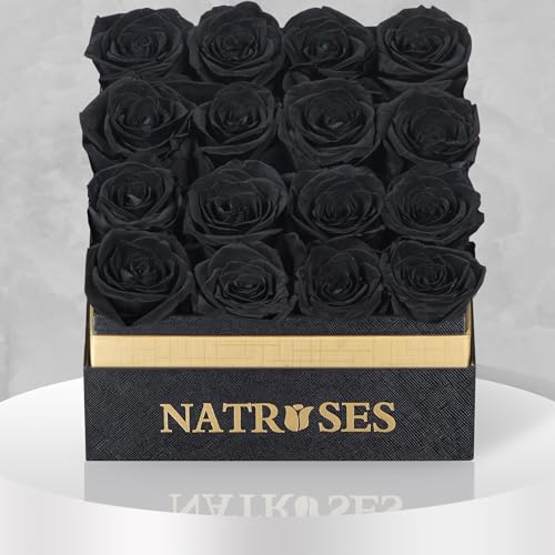NATROSES Forever Preserved Roses in a Box, 100% Real Roses That Last Up to 3 Years, Flowers for Delivery Prime Birthday, Valentines Day Gifts for Her (Black)