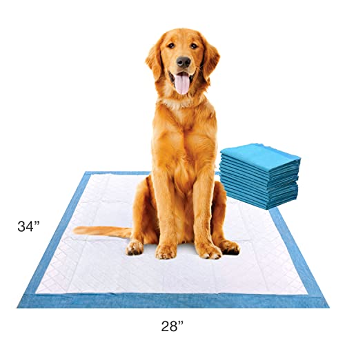 Four Paws Wee-Wee Superior Performance XL Pee Pads for Extra Large Dogs, Leak-Proof Floor Protection Dog & Puppy Quilted Potty Training Pads, Unscented, 28" x 34" (14 Count)