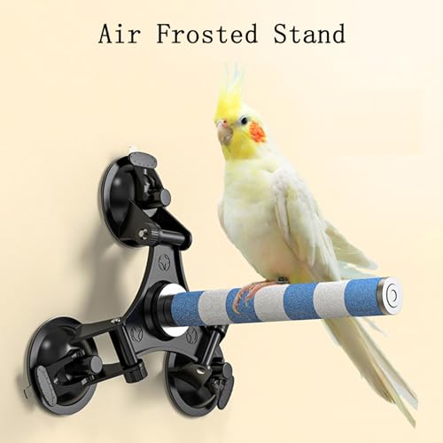 ZixmiX Fanlahmtasy Bird Perch - Multi-Functional Perch Stand for Birds with Bird Shower Perch Function, Ideal Window Perch for Birds with Secure Suction Cup Installation (orange0.8in)