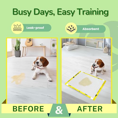 Pet N Pet Pee Pads for Dogs, 50 Counts Puppy Pads, 48% USDA Certified Plant Based Puppy Pee Pads, Unscented Dog Pad, Leak-Proof Training Pads for Dogs, Absorbent Dog Training Pads, Dog Pee Pads