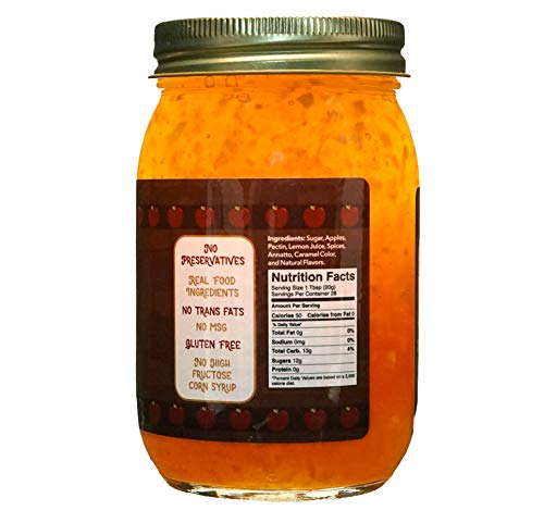 Green Jay Gourmet Mango Jam - All-Natural Fruit Jam with Mango & Lemon Juice - Vegan, Gluten-free Jam - Contains No Preservatives or Corn Syrup - Made in USA - 20 Ounces