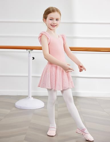 Zaclotre Pink Leotards for Girls Twinkle Sequins Dance Dresses Flow Skirt Hem Ballerina Leotard 3-4T