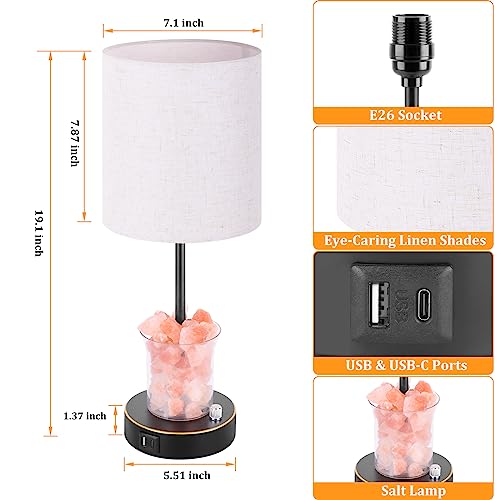 Dott Arts Touch Table Lamps with USB Ports, 3-Way Dimmable Bedside Nightstand Lamp with Salt Lamp,Table Lamps for Living Room Bedrooms Reading Room,Bulbs Included
