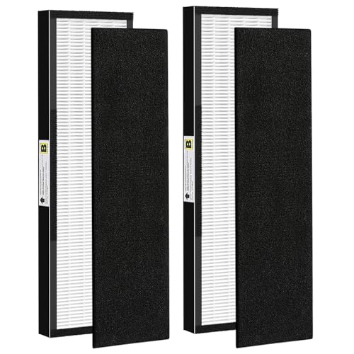 isinlive 2 Pack True HEPA Filter B Replacement with Activated Carbon Pre-Filters